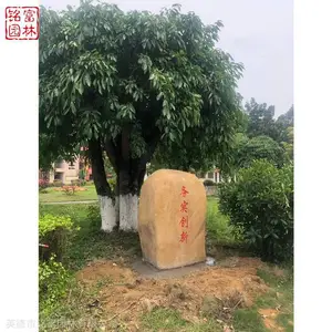 ѧУ��־ʯ�Ļ�ʯ ʯ�Ŀ��Կ��֣� ��ҵ����ʯ����ʯ