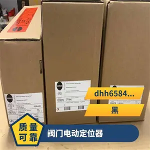 �¹�SAMSON 3724�͵綯�������ø߾��ȶ�λ��