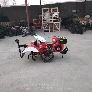 ��԰�������ݻ� ���������ػ� �ַ�ʽ������
