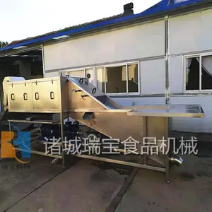 山东瑞宝XJ-6000型大姜清洗机 重庆鲜姜洗姜机 山东大姜清洗机