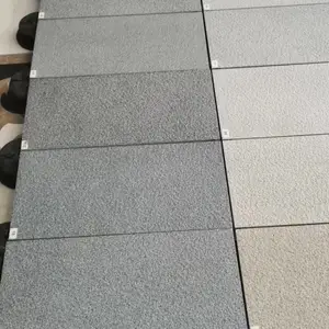 生态陶瓷PC砖 地铺石 广场砖 透水砖 陶瓷透水砖 仿石材砖 万诚建材 地铺石