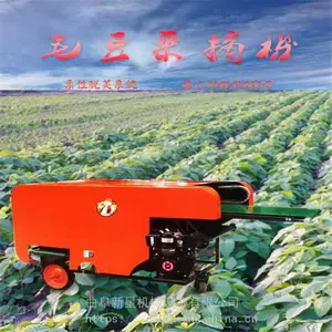 ��ë���ջ�ժ���� ë���ƶ���ժ�� �ඹ�Բ�ժ�ѼԻ�
