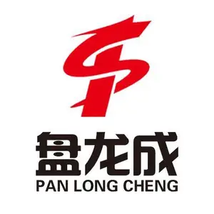 山东盘龙成工控科技有限公司