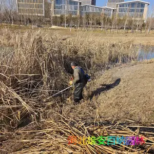 רҵ��԰�ո�«έ �ӵ��ո�«έ ��ˮ�ո�«έ רҵ�ո�«έ�ĺ�����