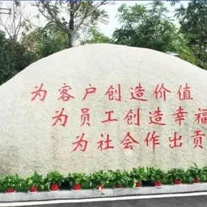 江苏便宜的金旺定制 江苏金旺智能科技供应
