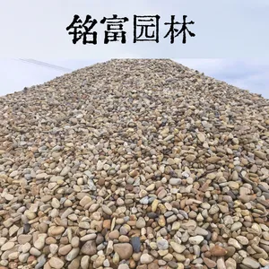 英 德市鹅卵石批发基地，大型鹅卵石堆场，天然水洗鹅卵石80元一吨