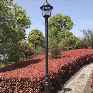 隆尧小区3米庭院灯 庭院灯led 市电庭院灯 中式庭院灯