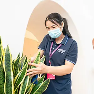 广州绿植租摆服务说明及服务方案
