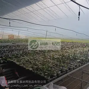 �����紲��-��п�紲��-��������湩Ӧ-�����紲ũҵ