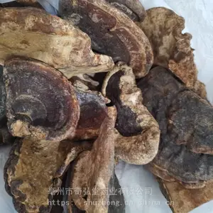 中药材无柄灵芝的功效与用法