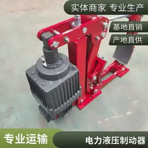起重卷扬液压抱闸制动器YWZ5-500/E121制动器***售后保障