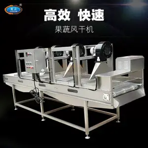 果蔬,辣椒,大枣等农产品风干流水线