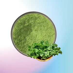���¸����� ʳƷ��Ũ���� ��ϸ��ĩ ʳƷԭ������