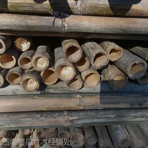 供应北京竹竿、北京杉木杆、绿化材料-腾福竹木
