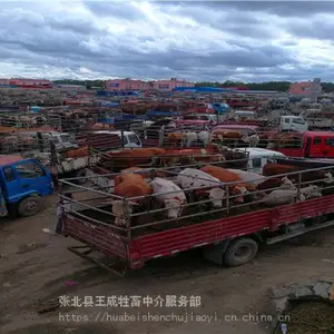 ������ţ���۸�Ʒ��ţ_�Ĵ���ţ��ֳ����