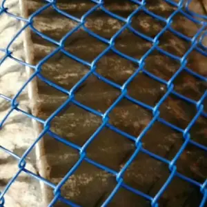 �˶��������� ���ϻ������� �ཬ��˿��