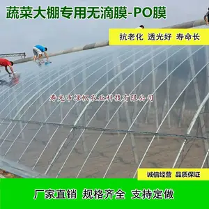 大棚膜PO膜供应绿帆蔬菜花卉无滴保温蓝色棚膜透明抗穿刺抗拉伸薄膜高透光