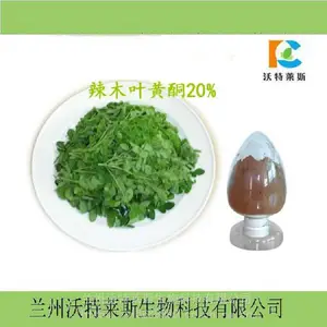 ��Ҷ����ȡ��10:1 ��ȡҺ Ũ���� ԭ�� ���ֹ�� 1kg�� ����