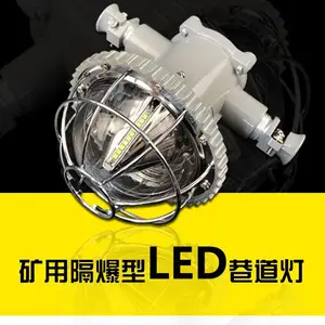 DGS24/127L（A）矿用隔爆型LED巷道灯 24W煤矿井下照明灯