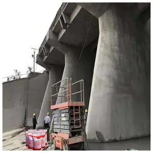 �ӱ������оۺ���ˮ���ˮɰ�� ����