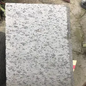 ��������֥�������רҵ��������
