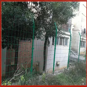 ������ѡ��» ������������ Χ������֯���ĸ���