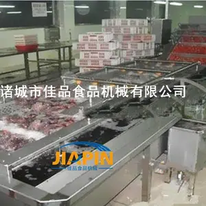 供应菠菜清洗机,蔬菜茎叶清洗机,气泡清洗设备