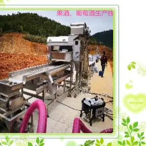 新轻机械 葡萄酒生产线设备 设计加工 安装调试 保证质量