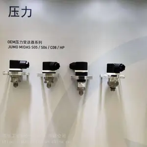 JUMO��ïS02006/53/2XPT100�¶ȴ�����
