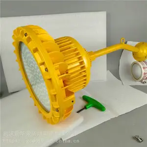 华荣 机房LED防爆灯40w 炼化厂LED防爆灯30w 生产厂家