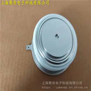 ��������Rϵ�п��ٿɿع�R0633YS10E���ʾ�բ��