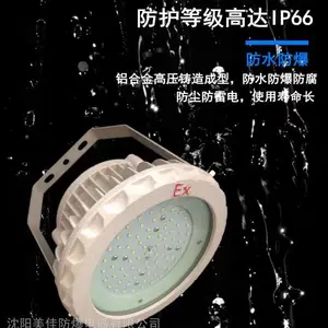 美佳LED防爆灯 化学车间dgs防爆灯 50W~300W定制隔爆灯