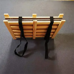 ���ֲ��걾��50*40cm ��ľ�걾��
