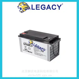 LEGACY ʨ������ LGD6/260 6V260AH ����ƽ̨ ϴ�ػ� ����ǣ�����