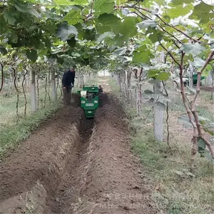 ���������Ĵ�ʽ������ ȫ�Զ���������һ���