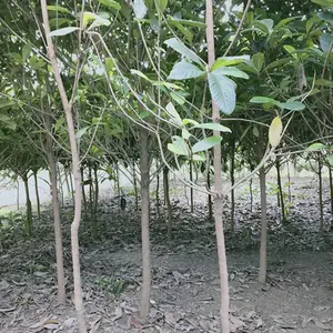 14����������_��ͨ14����������