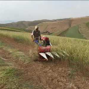 �ո����߸���͸�ɹ�� �����ջ��ɹ�� ���ײ��ո��