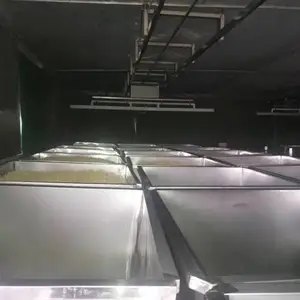 山东潍坊商用大型豆芽生产线设备厂家