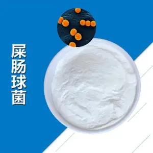 屎肠球菌 1000亿 动保宠物益生菌冻干粉 畜禽养殖饲料添加