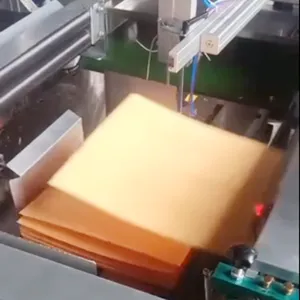 �Զ���װ������ STZP1-653��ص����Զ���װ�� �Զ�����װ�豸����