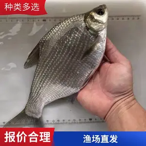 ���� ����������� �ۺ���ָ�� ��ˮ����ֳ ��ҵ�������� ��ˮ��