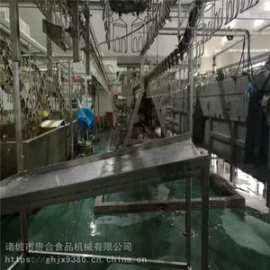 内蒙鸡鸭自动屠宰流水线 家禽屠宰脱毛机流水线厂家直销
