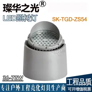 璨华照明SK-TGD-ZS54 LED照树灯12-100W景观明装埋地灯庭院灯筒状投光灯DMX外控