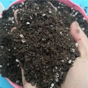 ���� �Ϲ��߲����� ��ֲ���л�Ӫ���� Ӫ���� ��ˮ����