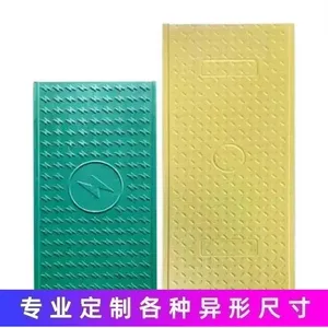 ���츴�ϵ��¹��ǰ� ��֬�߷��Ӹ��ºϳ� Դͷ���� ֧�ֶ��Ƽӹ�
