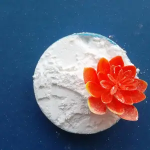 �������������� | ������������� | ���ϱ��������