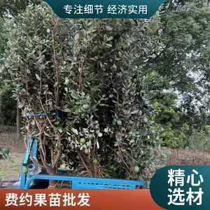���س��۷��͹��� ������ ͥԺ������ֲ������԰���̻��쾰������