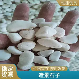 厂家生产机制鹅卵石卵石 白色石子 枯山水造景砾石