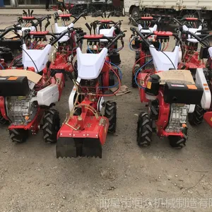 ����186�ͳ��������� ����������԰������ 11����������ͼƬ