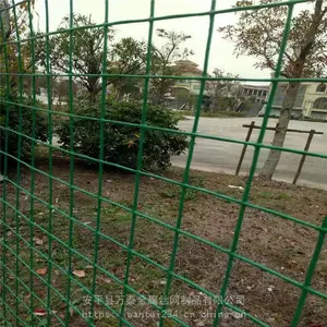 ��ɫ������˿�� ***������ ��ֳ������
